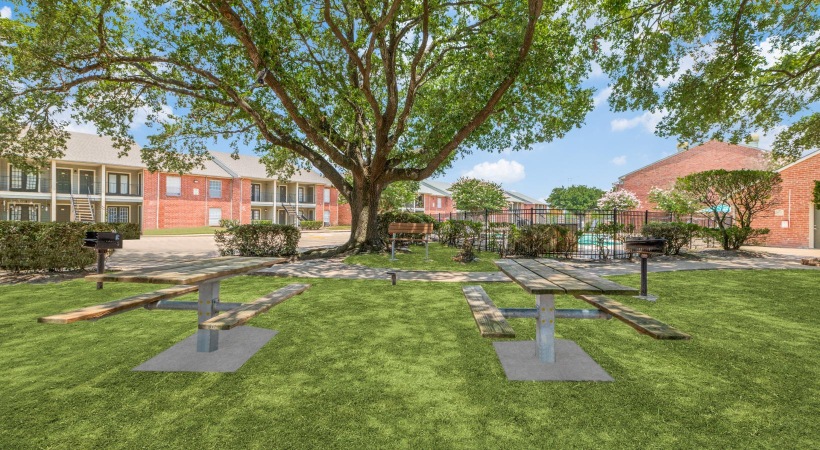 a park with benches and trees